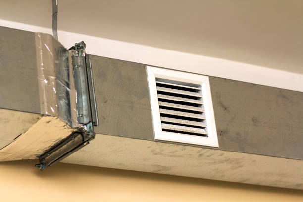 Best Home Air Vent Cleaning  in Waupun, WI